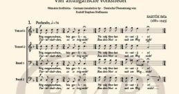 Old Hungarian voice