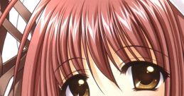 SHUFFLE! DRAMA-SERIES FILE.01: Lisianthus SHUFFLE! ドラマシリーズ FILE.01 リシアンサス - Video Game Video game from