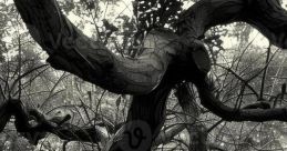 GNARLY