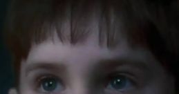 Charlie Bucket (Freddie Highmore,charlie And The Chocolate Factory)