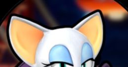 Rouge the Bat's Voice Actor