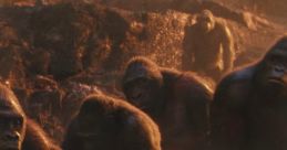Great Apes