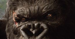 King Kong (2005)