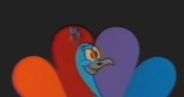 Colorful animated peacock character with a vibrant feather display, representing KNTV's playful branding style.