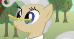 Mayor Mare (Latin American Spanish, My Little Pony)