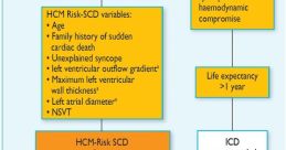 Hcm