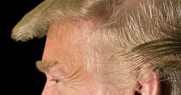 Profile view of a prominent figure with distinct hairstyle and facial features, commonly discussed in media and politics.