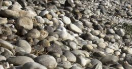 Rock On The Ground
