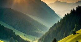 Beuatiful