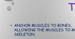 Tendons