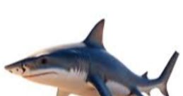 A shark wearing blue sneakers adds humor to the Ultimate Funny Board, perfect for lighthearted décor and fun displays.