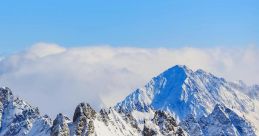 Snow Ball Modern
