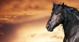 Horse characters e