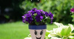 Flowerpot (SNICK BOY)
