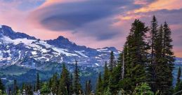 Washington