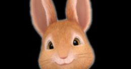 Peter Rabbit (Cbeebies, Charlie George)
