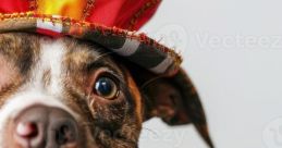 RINGMASTER PUPPY (Laugh And Learn Circus)