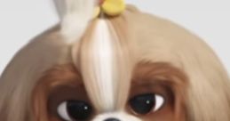 Daisy (Tiffany Haddish, The Secret Life Of Pets 2)