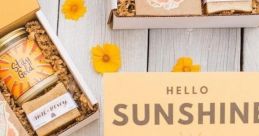 Sunshine Box
