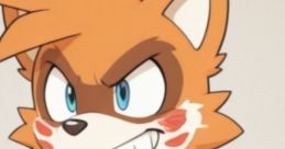 Jay The Lucky Fortune Raccoon (From Sonic OC)