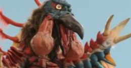 Birdon