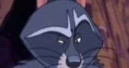 Bering The Raccoon (Jim Cummings, Brother Bear 2)