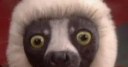 Zoboomafoo character with expressive eyes and furry features, engaging young audiences with fun animal facts and adventures.