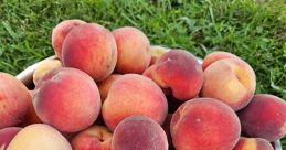 Peachesssssssssssss