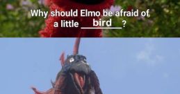Elmo reaction