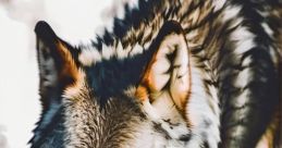 Wolf Vore And Digesting
