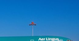Aer Lingus McDonnell Douglas MD-11 parked on the tarmac under a clear blue sky, showcasing its vibrant livery.
