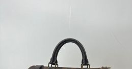 Toar Speedy