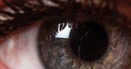 Close-up of a human eye, showcasing detailed eyelashes and radiant iris, perfect for capturing laughter in the Try Not To Laugh Challenge.