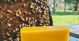 Bee (Beeswax Annoyer) PATBWW
