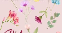 Blossoms sister