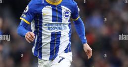 Solly March Interviews The myriad associated with Solly March interviews paint a vibrant auditory tapestry that reflects
