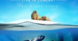 Blue Planet Current Voice