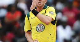 Brett Lee (Cricketer) Brett Lee, born on November 8, 1976, in Wollongong, New South Wales, Australia, is a revered figure in