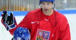 Jaromir Jagr (Ice Hockey) Jaromir Jagr is a name synonymous with ice hockey excellence. Born on February 15, 1972, in