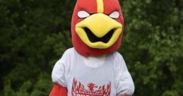 Birdie McBirdface