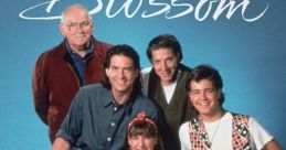 Blossom (TV Show) "Blossom" is an American television sitcom that captured the hearts of audiences in the early 1990s with