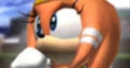 Tikal The Echidna (SA:DX)
