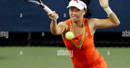 Zheng Jie (Tennis) Zheng Jie is a renowned tennis player from China who has made a significant impact on the international