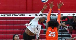 Edward Skorek (Volleyball) Edward Skorek, a prominent figure in the world of volleyball, stands out not just for his