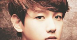 Exok