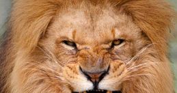 Growling