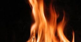 Home Fire: Fire At Home 'Home Fire: Fire At Home' features the calming crackle and pop of a domestic fire, creating a warm