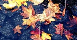 Storm & Chimes: Storming Outside, Cozy Inside 'Storm & Chimes: Storming Outside, Cozy Inside' captures the of rain falling