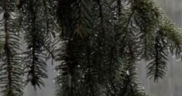 Lullaby In A Storm 'Lullaby In A Storm' presents a serene contrast of soothing vocalizations designed to gently lull a baby