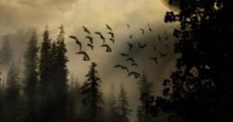 Forest Of The Black Shuck: The Creepy Forest Over The Hill 'Forest Of The Black Shuck: The Creepy Forest Over The Hill'